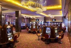 winbravip